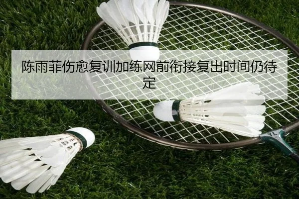 陈雨菲伤愈复训加练网前衔接复出时间仍待定
